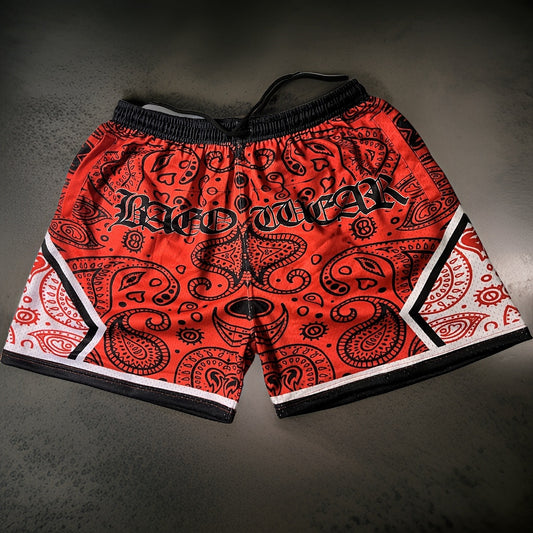 Paisley design - Chicago Bulls color way