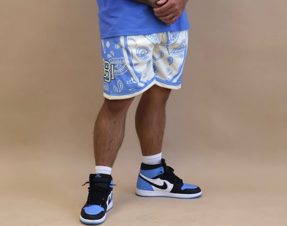 Reverse Arctic Paisley (Men's)