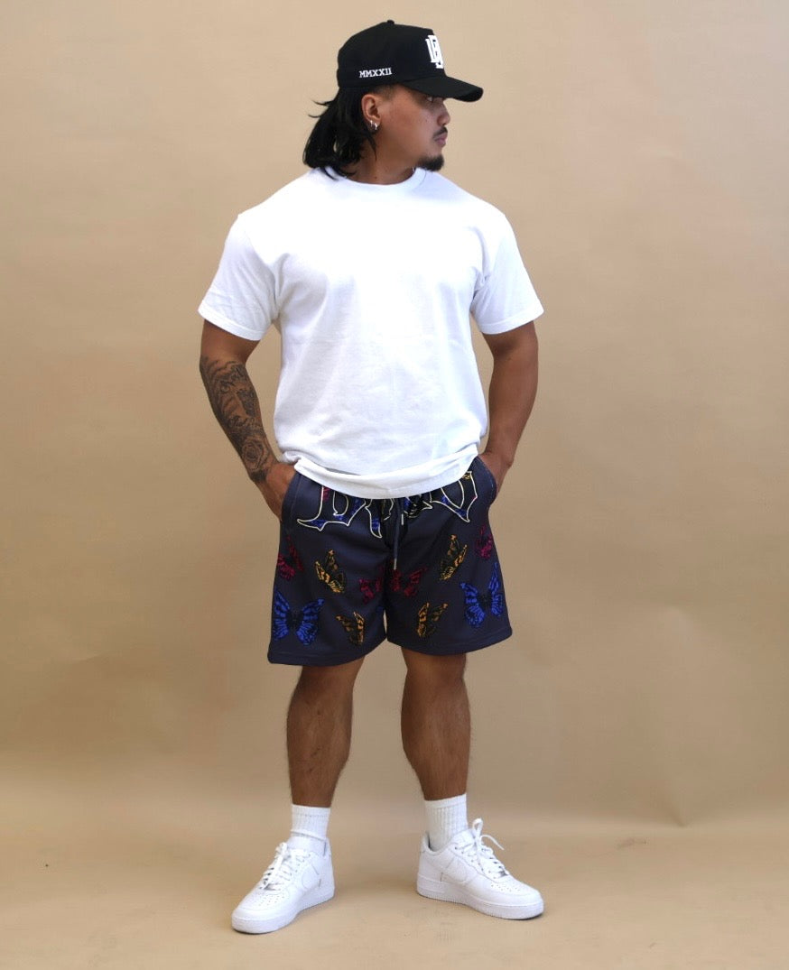 Butterflies effect (Men's)